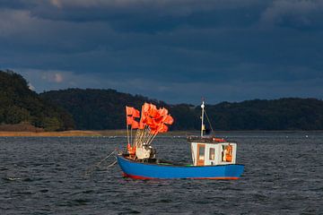 Vissersboot Reddevitz van Sven-Erik Arndt