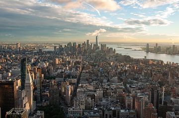 Lower Manhattan vanaf de Empire State, New York City van Ylenia Di Pietra