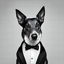 Dog Groom by FoXo Art thumbnail