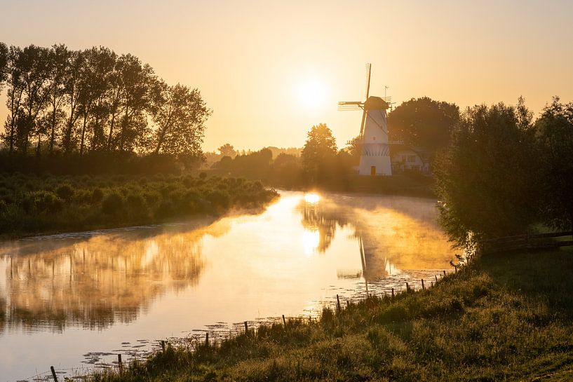 Mill The Butterfly von Edwin Benschop