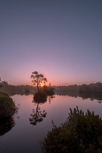 Zonsopkomst bij natuurgebied de Oisterwijkse bossen en vennen