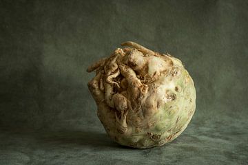 Vegetable portrait of celeriac by Mrs Mostert