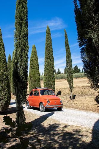Fiat in cipressenlaan (8)