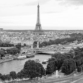 De Seine, Pont Alexandre en de Eiffeltoren van Michaelangelo Pix