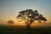 Zonsopkomst op de heide van Ad Jekel thumbnail