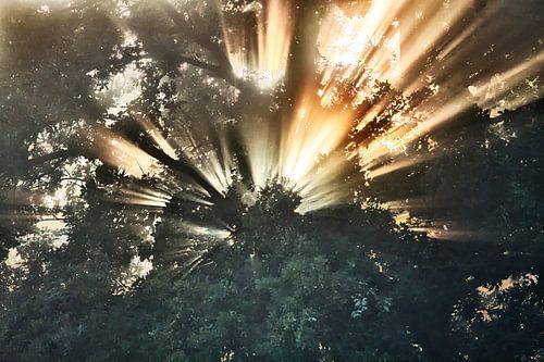 De Explosie van licht