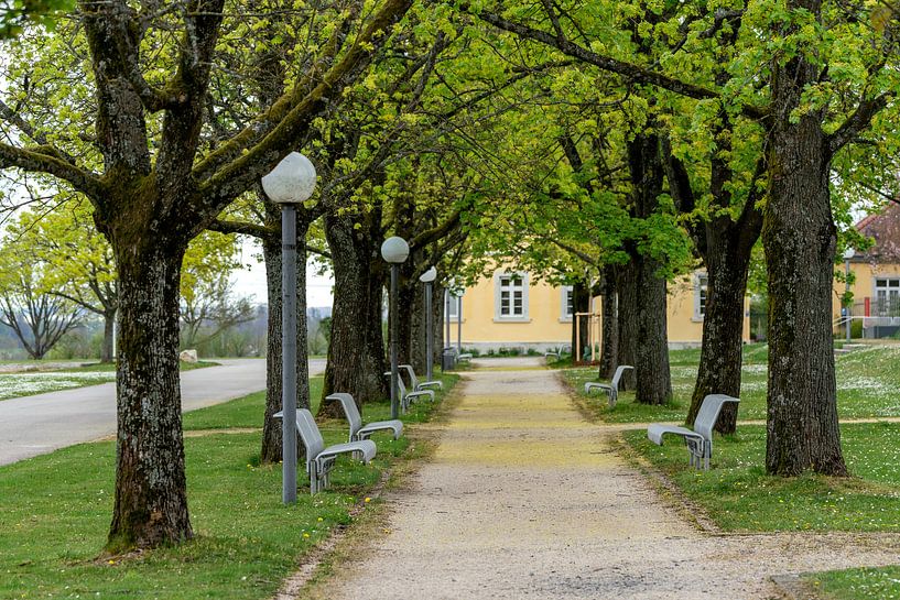 Corona-laan van Uwe Ulrich Grün