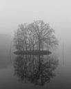 Eiland in de Mist 2 van Stephan van Krimpen thumbnail