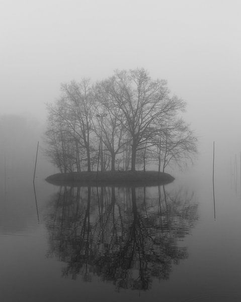 Eiland in de Mist 2 van Stephan van Krimpen