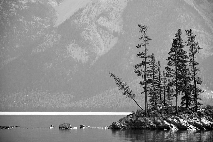Canada by Veronie Hulleman
