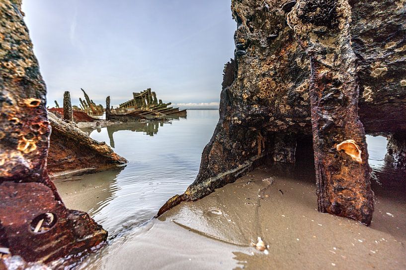 Shipwreck Claude London detail hull scull on the beach by Christoph Hermann