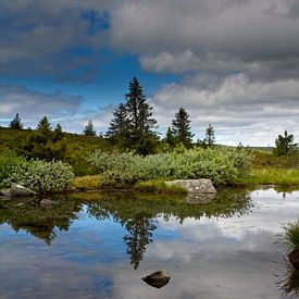 Un petit lac en Norvège. sur Hamperium Photography