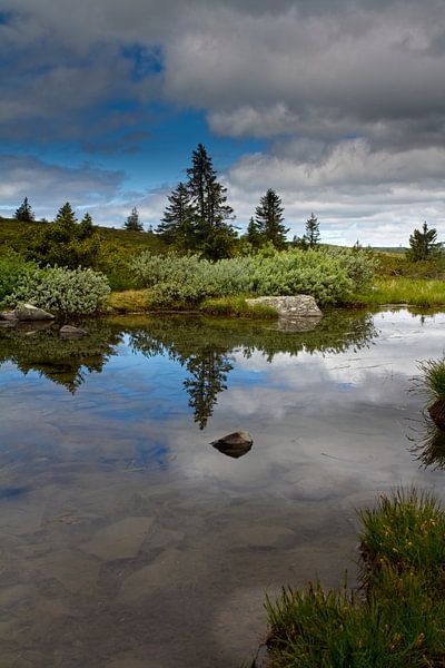 A small lake in Norway. by Hamperium Photography