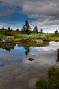 Natuur in Noorwegen van Hamperium Photography thumbnail