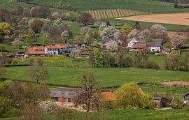 Vakwerkhuisjes tijdens de bloesemtijd in Epen by John Kreukniet