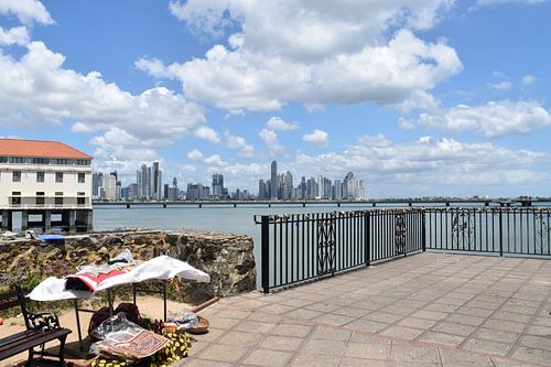 Uitzicht op de stad in de verte