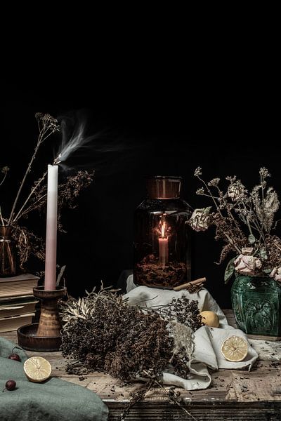 Temporary | fine art still life photography in color | print wall art by Nicole Colijn