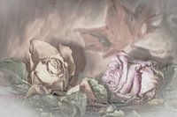 Wanneer het leven eindigt