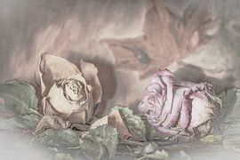 When Life Ends by Torfinn Johannessen