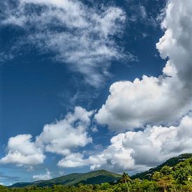 Tropen Karibik Strand von Voss Fine Art Fotografie