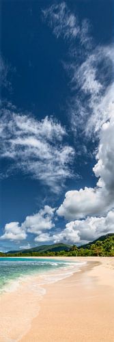 Tropical Caribbean beach by Voss photography