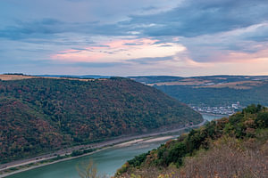Prachtvolle Farben am Rhein