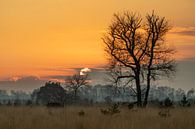 Coucher de soleil à Strabrecht par Hetwie van der Putten Aperçu