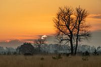 Sunset at Strabrecht