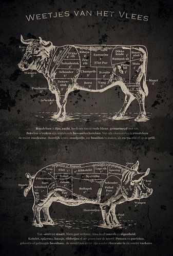 Faits intéressants sur la viande
