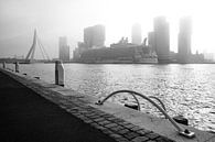 Navire de croisière Oasis of the Seas à Rotterdam (photo en noir et blanc) par Martijn Smeets Aperçu