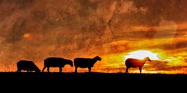 We're goin' home von Dieter König