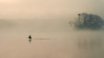 Misty Lake