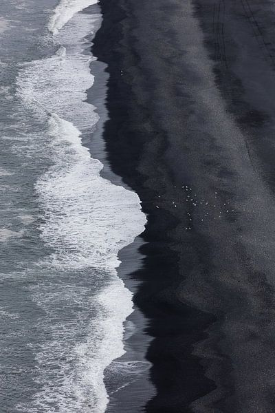 Plage de lave avec des oiseaux par Maarten Borsje