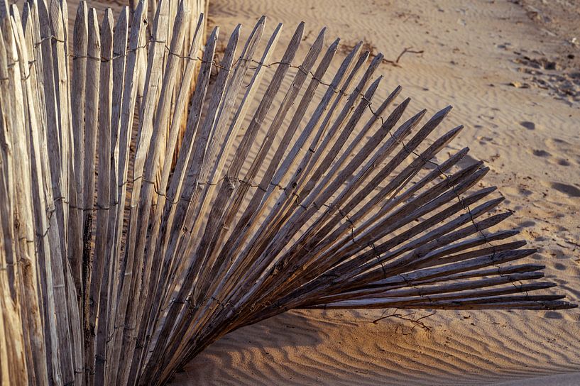 Clôture en bois en forme d'éventail par Paul Zoetemeijer Fotografie