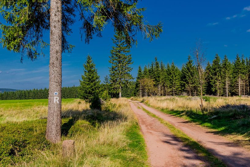 Wonderful hiking paradise at the Rennsteig by Oliver Hlavaty