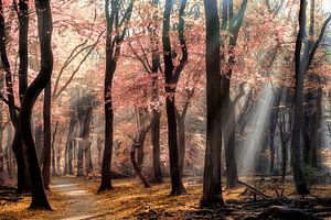 Frühling oder Herbst
