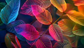 Neonklingen-Panorama von TheXclusive Art