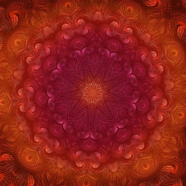 The promise by christine b-b müller