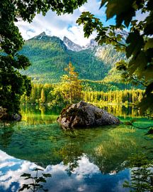 Zauberwald am Hintersee von Joris Machholz