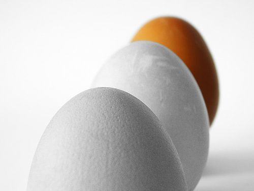 Eieren Oranje