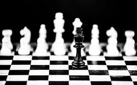 Schaak van Berend-Jan Bel