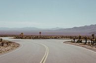 Americana Death Valley by Karlijne Geudens thumbnail