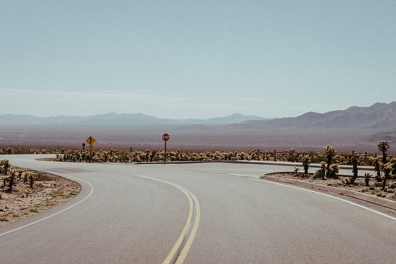Americana Death Valley by Karlijne Geudens