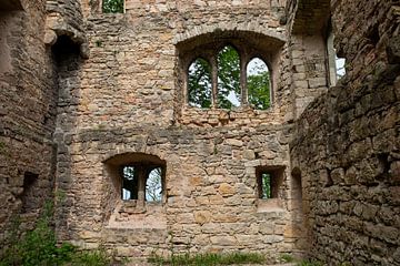 Ruïne van het Opper-Saksische kasteel van t.ART
