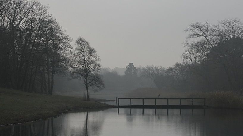 Mistig December by Dick Vermeij