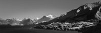 Panorama der Straße nach Glenorchy in Schwarz und Weiß von Henk Meijer Photography Miniaturansicht