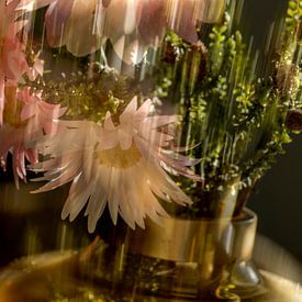 Still life in motion. by Alie Ekkelenkamp