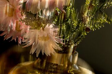 Still life in motion.