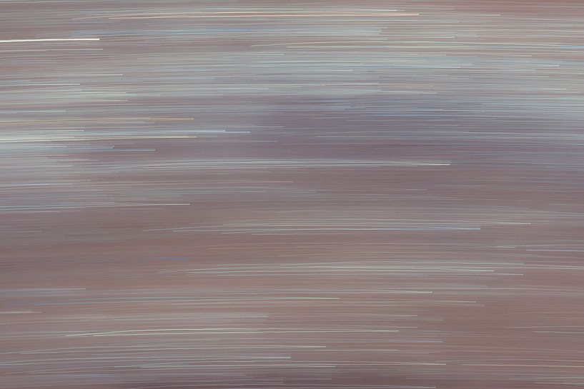 moor lines by Tania Perneel