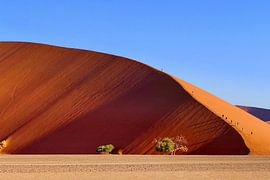 Dune Walk: Dune 45 by Herbert Böck